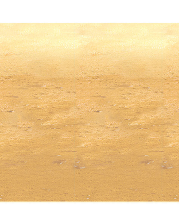 Western Desert Sand Backdrop 9m