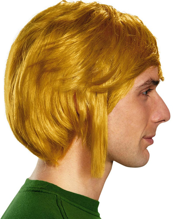 Legend of Zelda Link Adult Wig