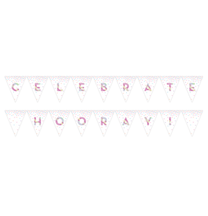 Iridescent Foil Pennant Flag Banner 2-Sided Design CELEBRATE & HOORAY! 23cm x 2.74m