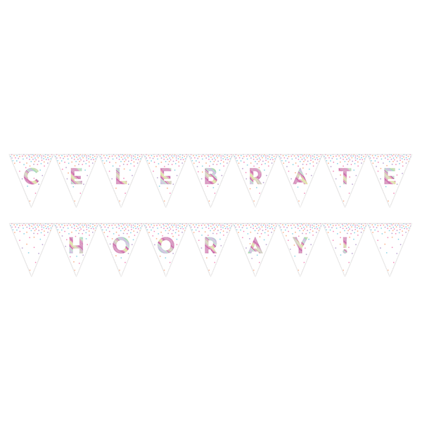 Iridescent Foil Pennant Flag Banner 2-Sided Design CELEBRATE & HOORAY! 23cm x 2.74m