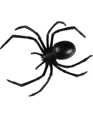 Black Widow Spider