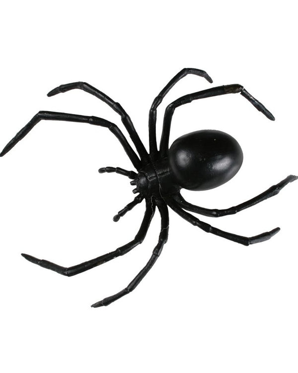 Black Widow Spider