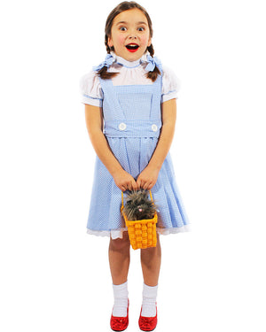 Girl from Oz Deluxe Girls Costume