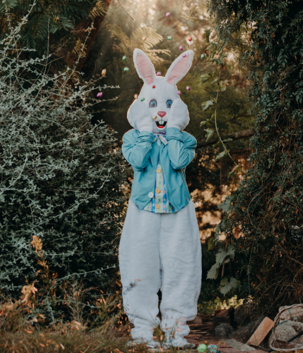 Deluxe Easter Bunny Adult Costume
