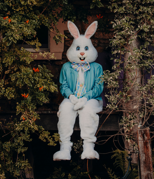 Deluxe Easter Bunny Adult Costume