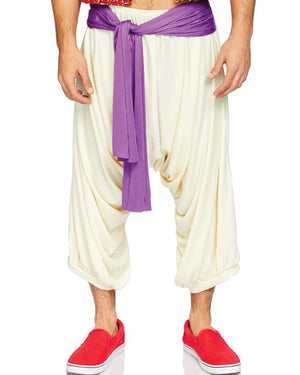 Desert Arabian Prince Mens Costume