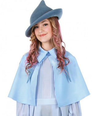 Harry Potter Fleur Delacour Cape
