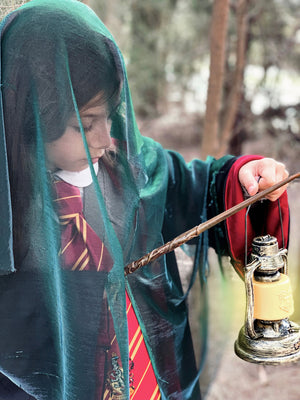 Harry Potter Lantern