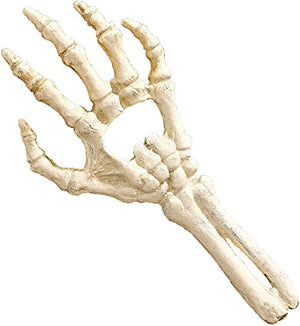 3D Skeleton Hands Pack of 4