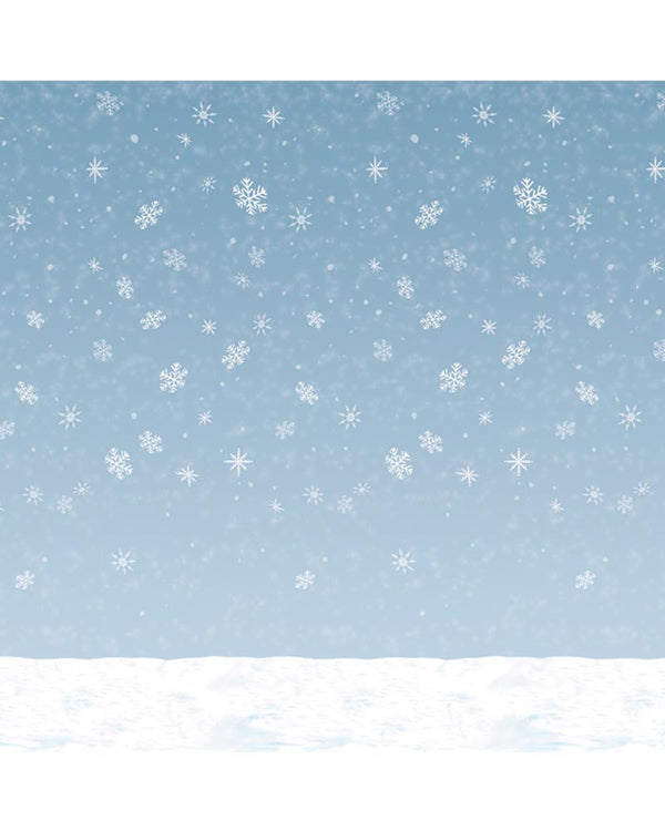 Winter Sky Wall Backdrop