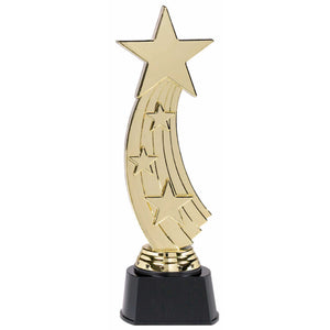 Shooting Star Award