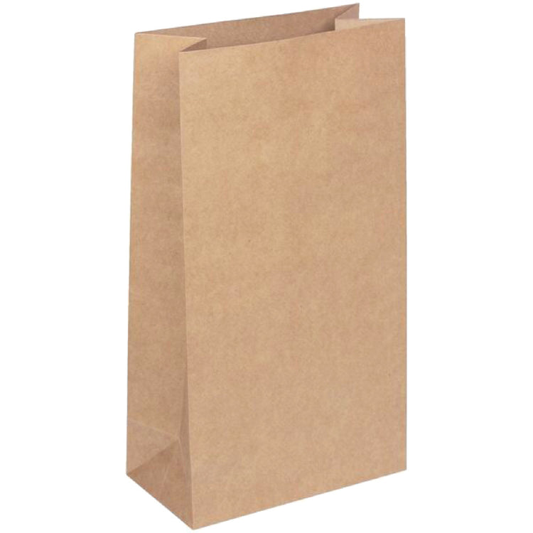 Kraft Loot Bags Pack of 6