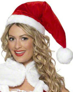 Miss Santa Luxury Womens Christmas Costume