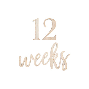 Baby In Bloom Milestone Mix and Match Signs Pack of 17