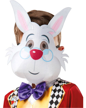 Disney Alice In Wonderland White Rabbit Boys Costume