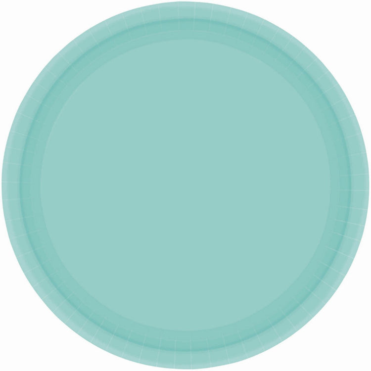 Robins Egg Blue 23cm Round Paper Plates Pack of 20