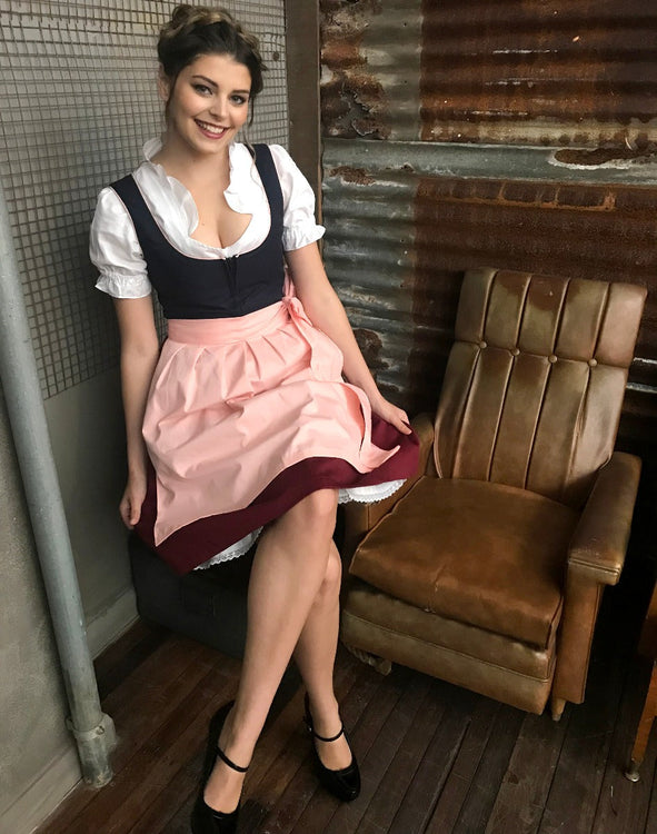 Erika Deluxe Oktoberfest Dirndl Womens Costume