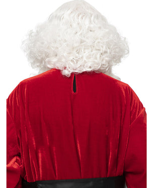 Christmas Santa Professional Wig and Beard Set
