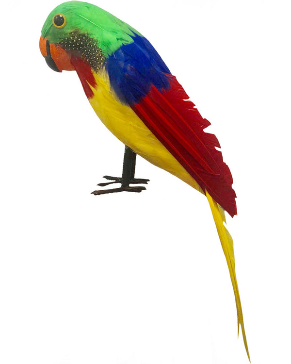 Feathered Pirate Parrot Prop