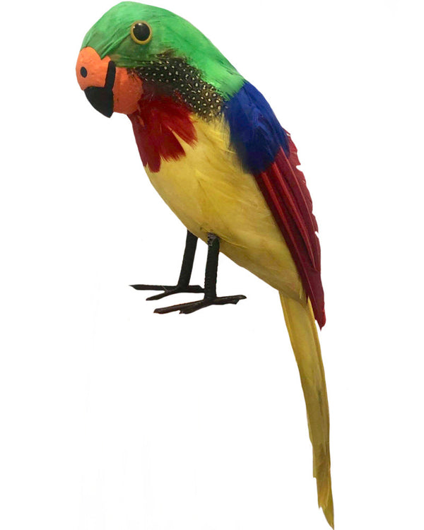 Feathered Pirate Parrot Prop
