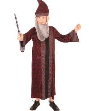 Harry Potter Dumbledore Boys Costume
