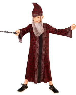 Harry Potter Dumbledore Boys Costume