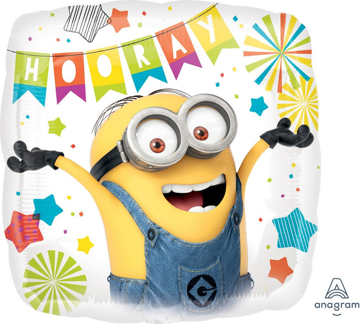 45cm Standard HX Despicable Me Party S60